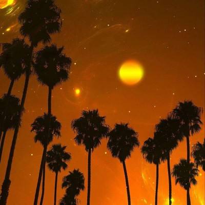 新万博全站app最新版app下载