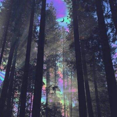 开元体育··官方网站