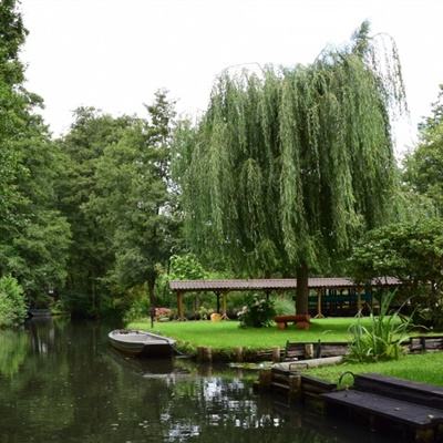 ky体育手机app下载